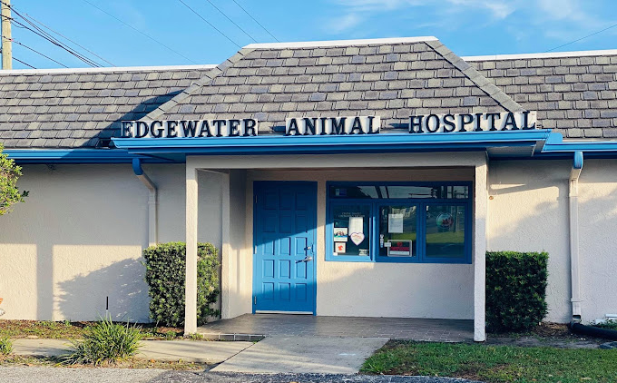 Edgewater Animal Hospital